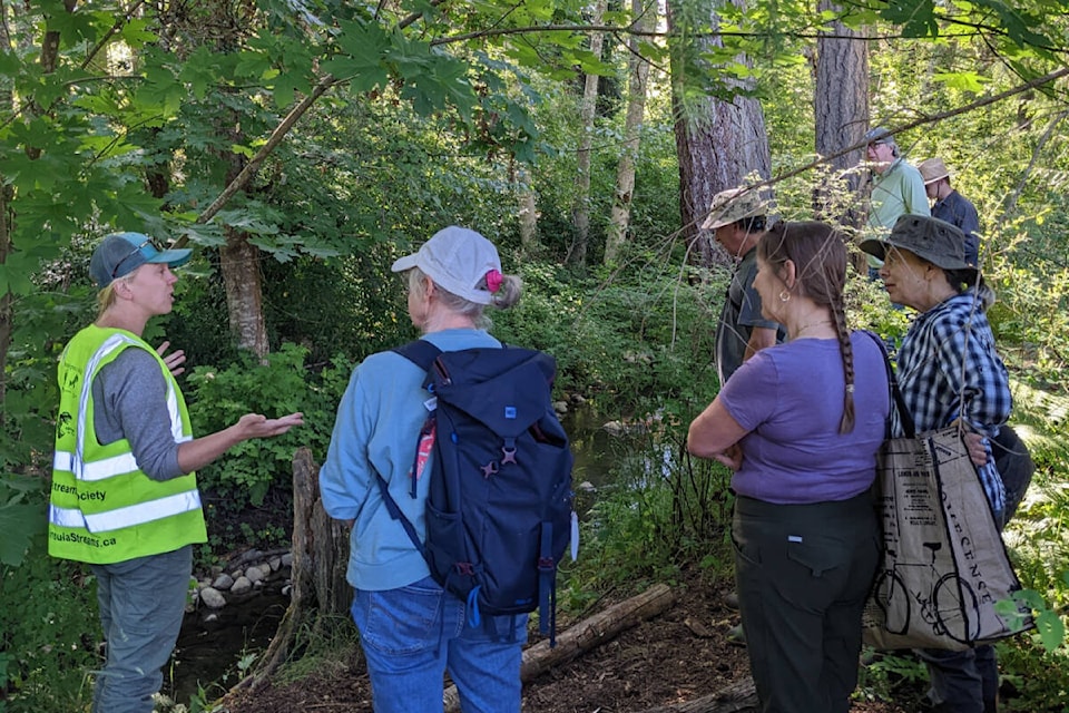 Peninsula Streams Society volunteer streamkeepers on Colquitz River monitor restoration projects near and on Gabo. (Courtesy Peninsula Streams Society) 