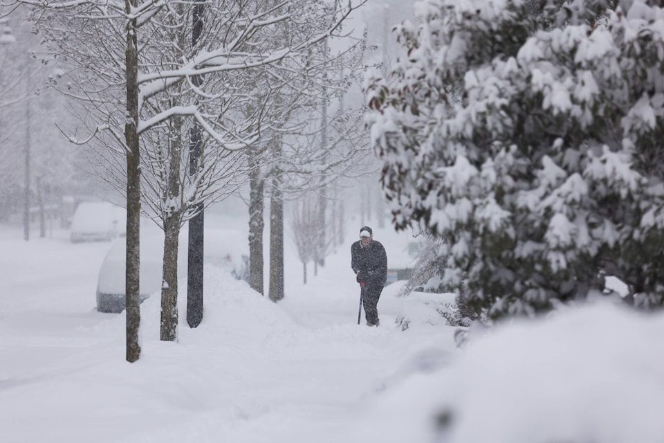 web1_240125-sul-surrey-snowtorm-cancel_1