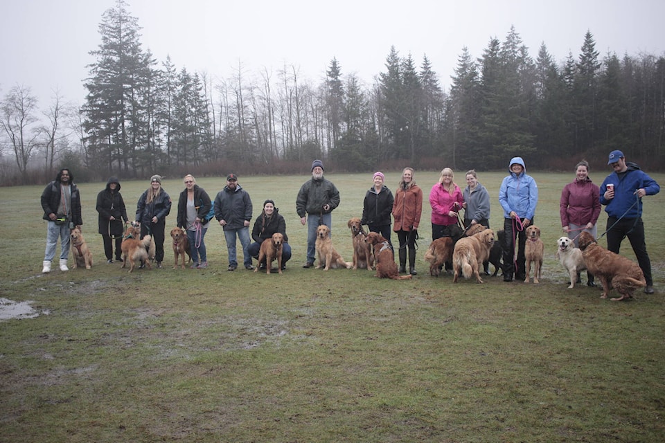 Around 15 dogs made it out to the event this time around. Photo by Marc Kitteringham/Campbell River Mirror 
