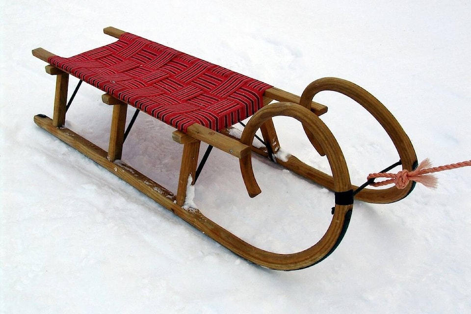 web1_240201-kcn-pedestriantoboggan-vcx_1
