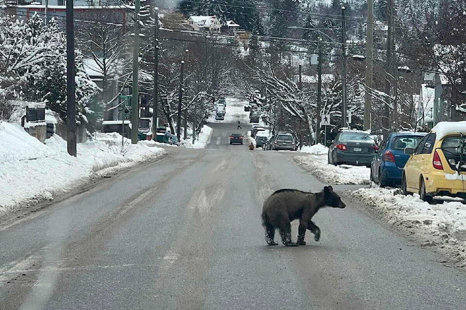 web1_240201-kws-beardeaths_1