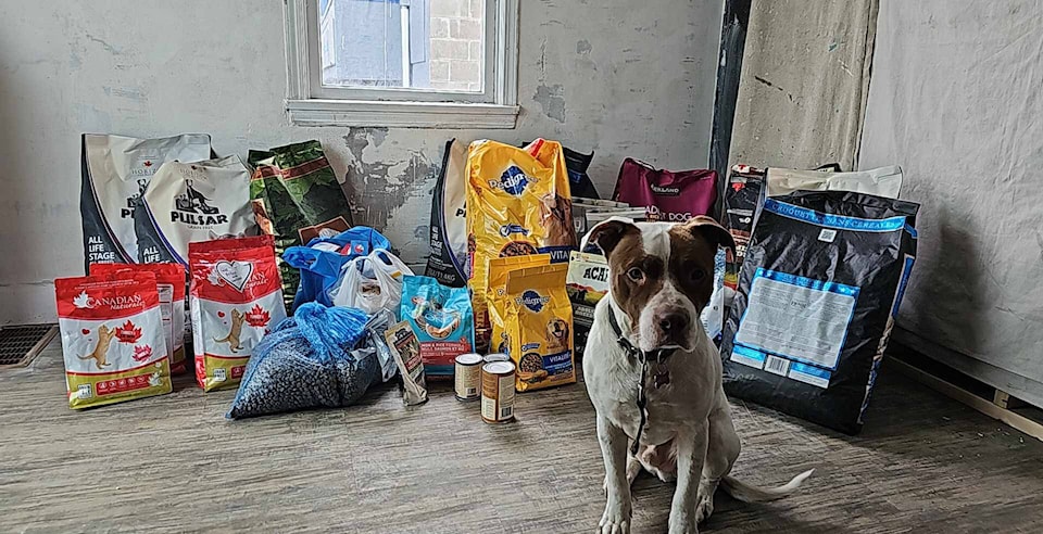 web1_240201-vms-animalfoodbank-bank_2