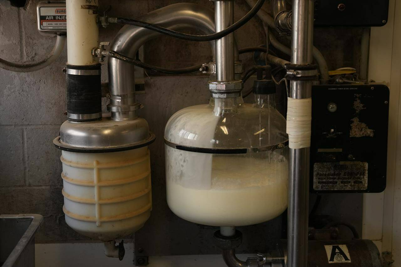Lab-grown milk protein could be headed to Canada soon