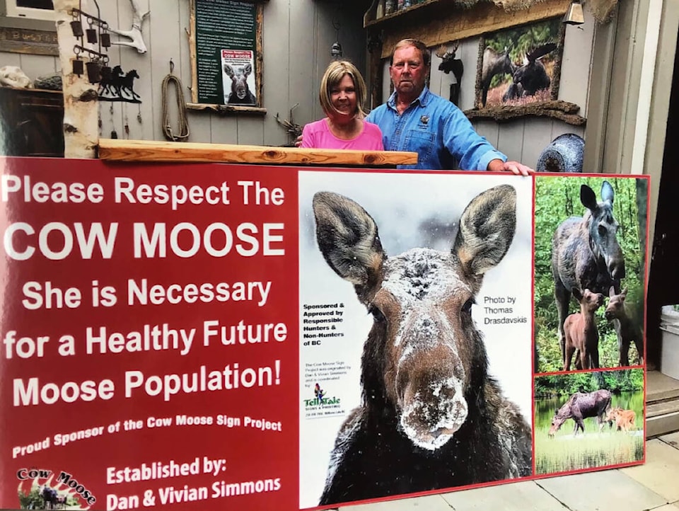 web1_220810-ldn_cowcalf-moose_1