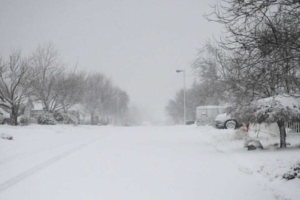 web1_221221-pqn-snow-in-parksville-snowyconditions_3