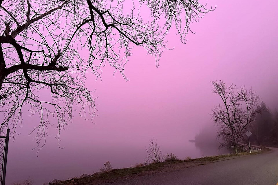 Vicky Harding of Summerland captured this picture of the pink fog against Okanagan Lake Wednesday morning. (Vicky Harding) 
