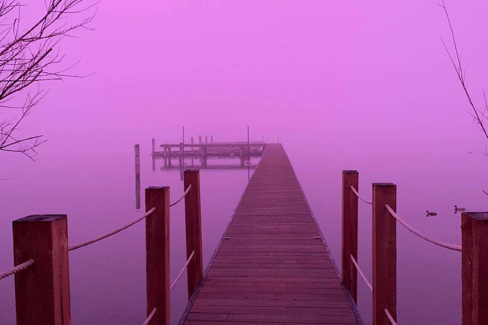 PHOTOS: Rare pink fog envelopes Okanagan - Kelowna Capital News