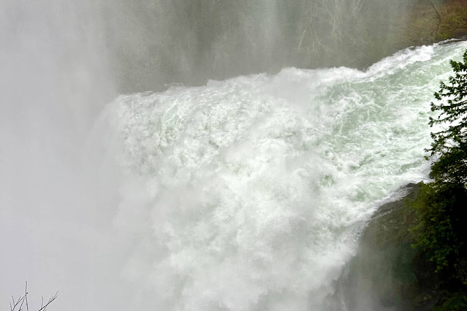 Water flows over Elk Falls near Campbell River on Feb. 1, 2024 at a rate of 195 cubic metres per second or about an Olympic-length swimming pool every two seconds. BC Hydro photo 