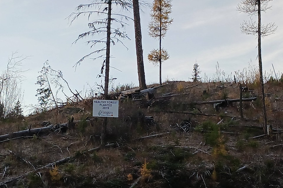Climate Action Now! says clear-cut logging needs to be greatly reduced, as well as salvage logging. (Contributed) 