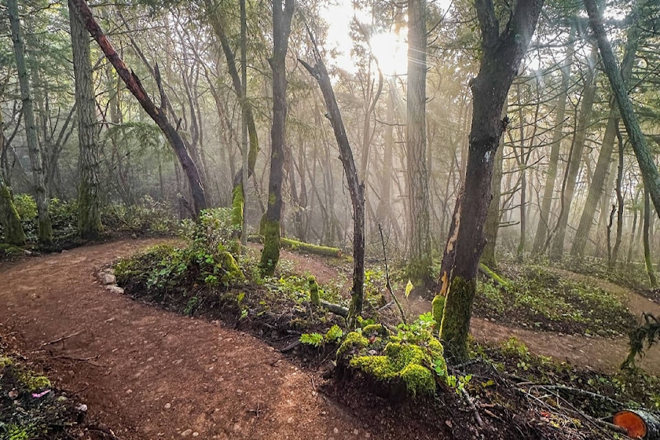 web1_240202-gng-jordielunnbikenewtrails-fb_2