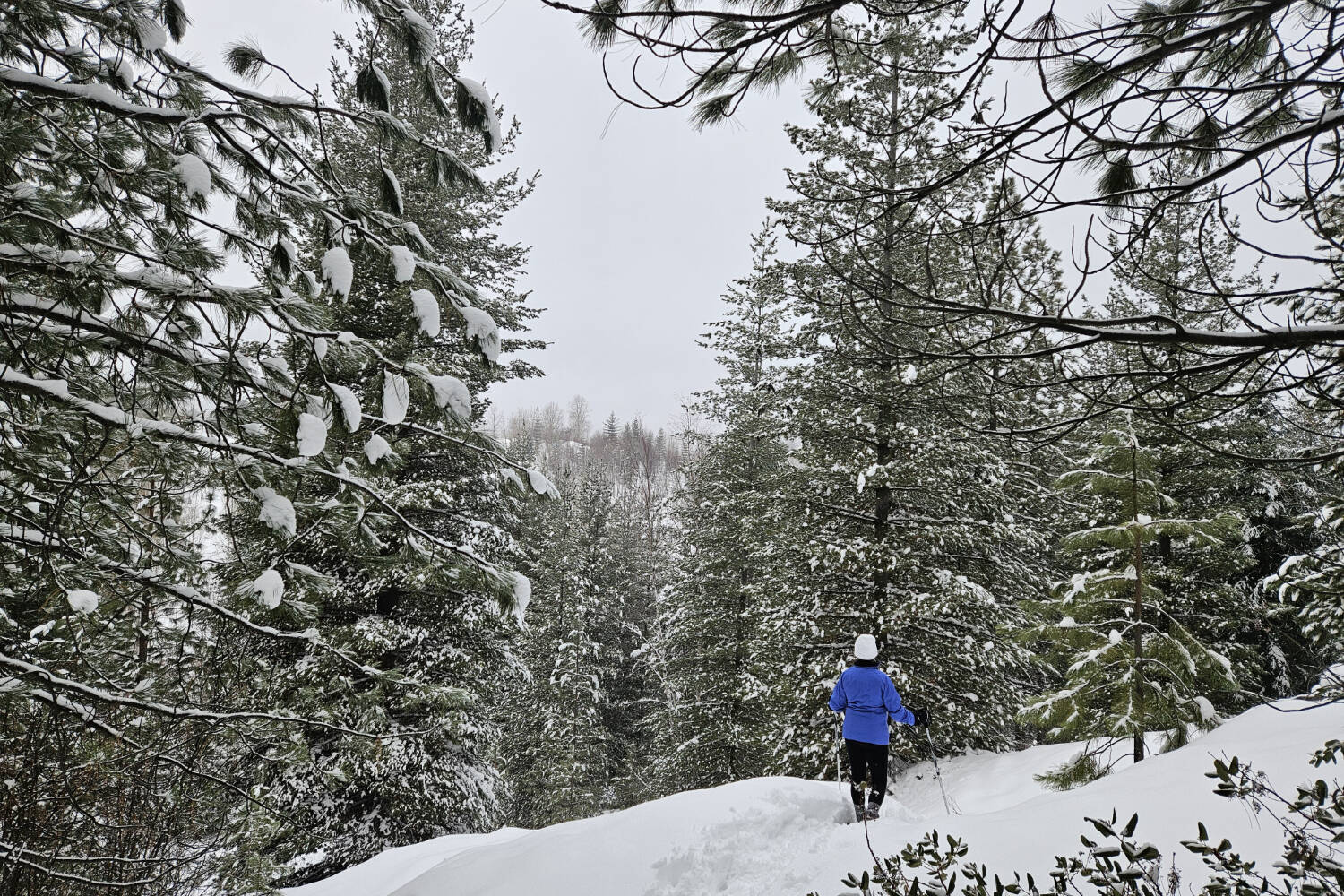 Hiking for snow when Trail valley is bare Trail Times