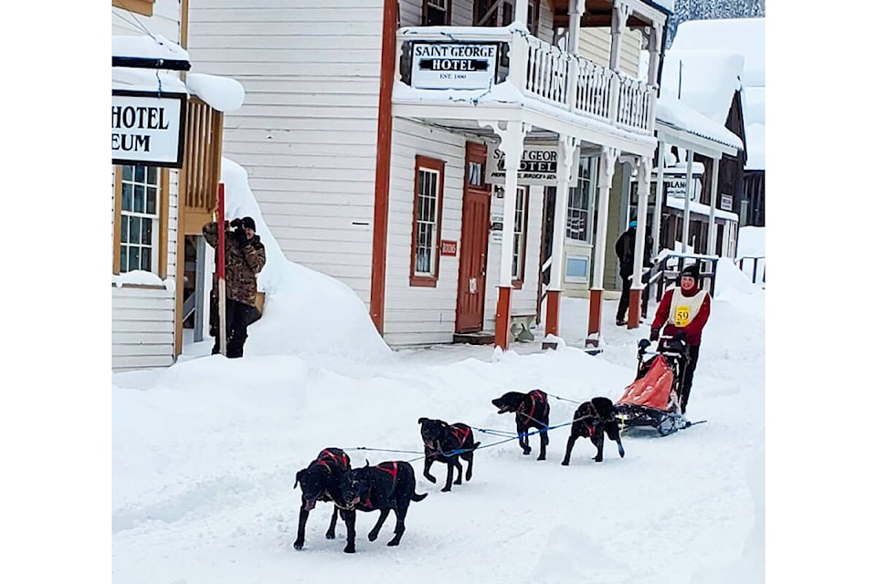 A dog team arrives in Barkerville during the 2023 edition of the Annual Gold Rush Trail Sled Dog Mail Run. (Event social media photo) 