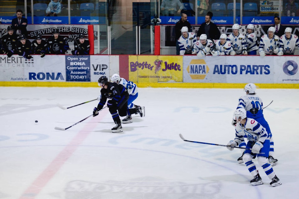 web1_240207-saa-silverbacks-vees