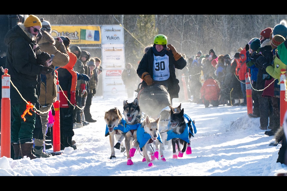 Louve Tweddell leaves the start line of the 2024 Yukon Quest. (Jim Elliot/Yukon News) 