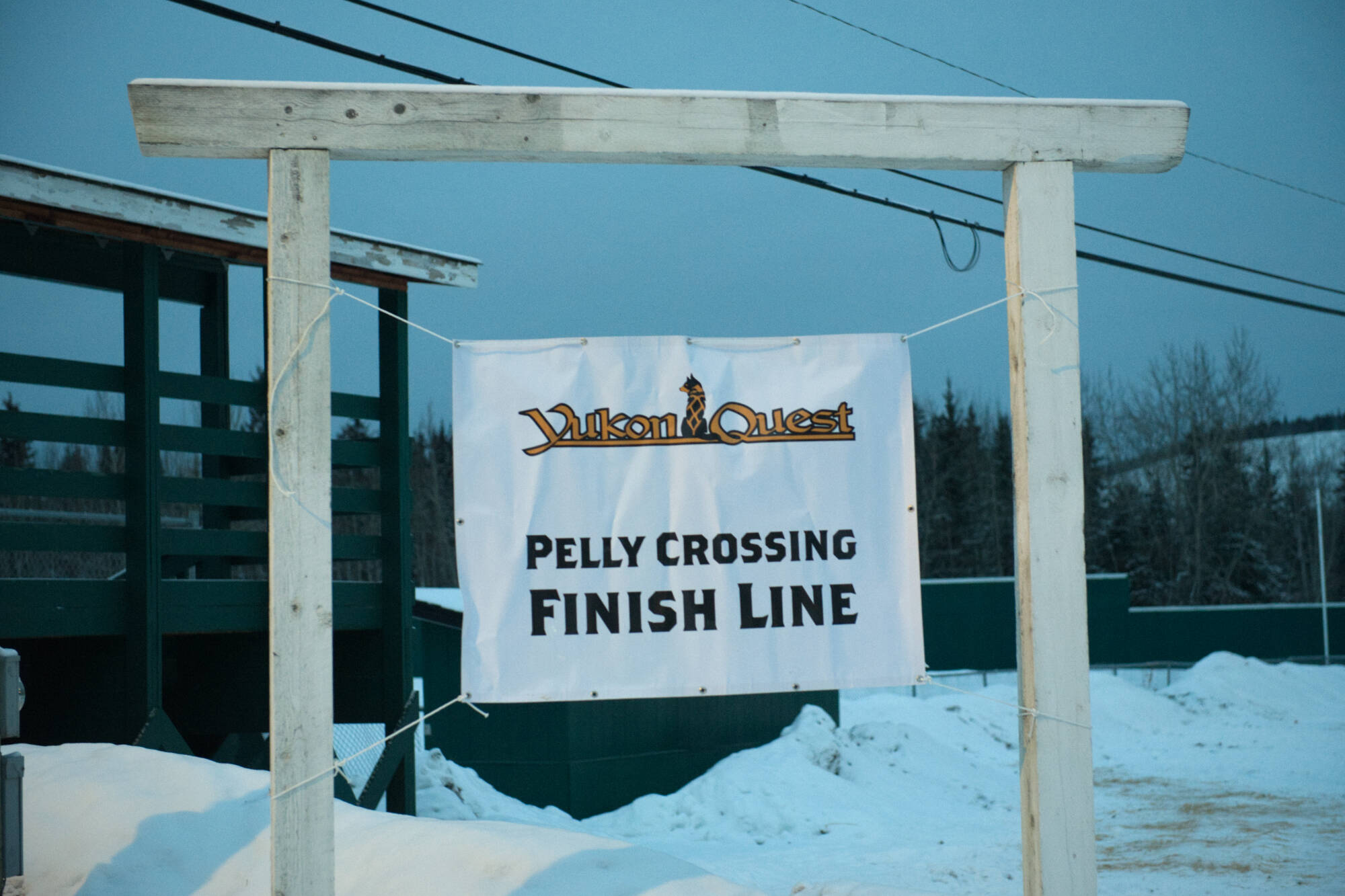 2024 Yukon Quest cut short, mushers not heading to Dawson City - Yukon News