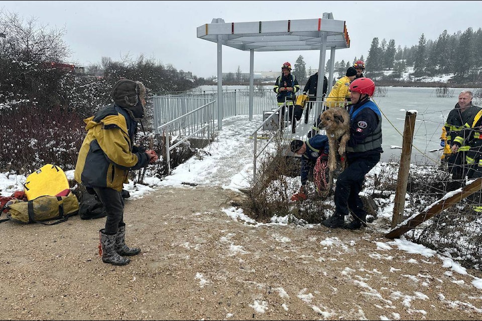 Kelowna fire crews rescued a dog from Carney Pond around 2 p.m. on Tuesday, Feb. 6. (Brittany Webster/Capital News) 