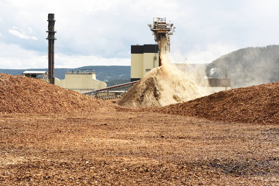 Atlantic Power’s Williams Lake plant burns wood waste to produce electricity. (Ruth Lloyd photo - Williams Lake Tribune) 