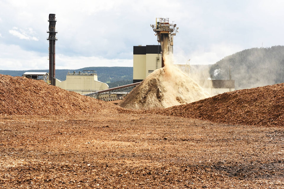 Atlantic Power’s Williams Lake plant burns wood waste to produce electricity. (Ruth Lloyd photo - Williams Lake Tribune) 