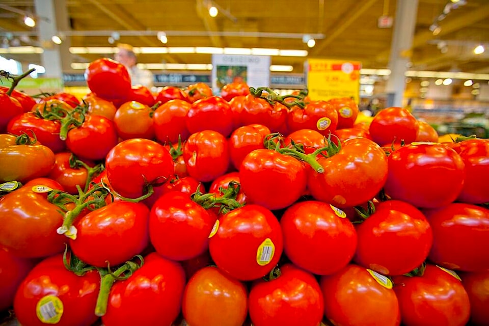 web1_240209-crm-food-price-bill-grocery_1