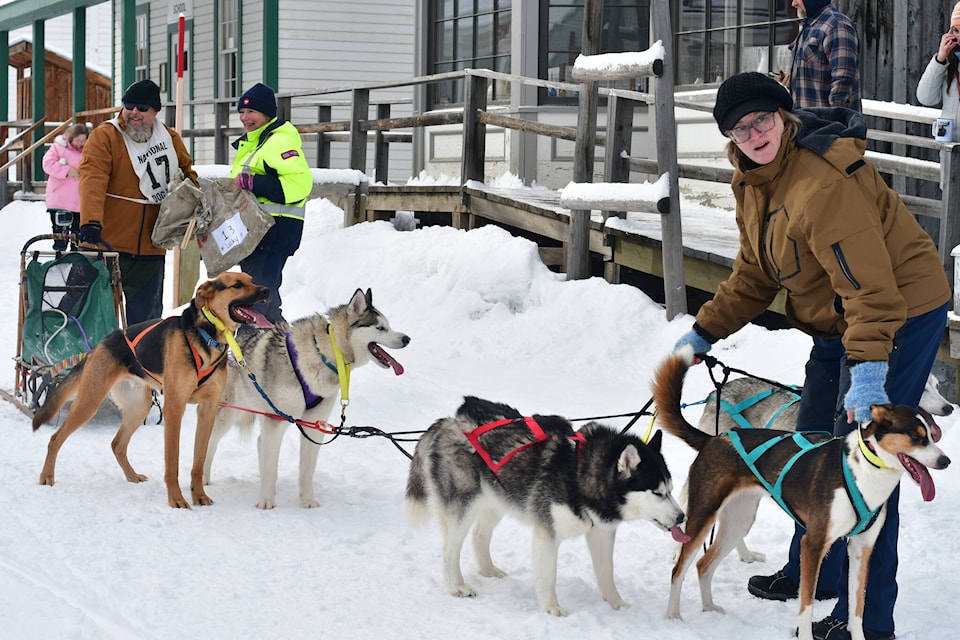 Sarah Smith holds the dogs while musher John Smith #17 stands by with his team at the 32nd Gold Rush Trail Sled Dog Mail Run at Barkerville Feb. 11. About 100 spectators turned out to watch the fun event. (karen Powell photo) 