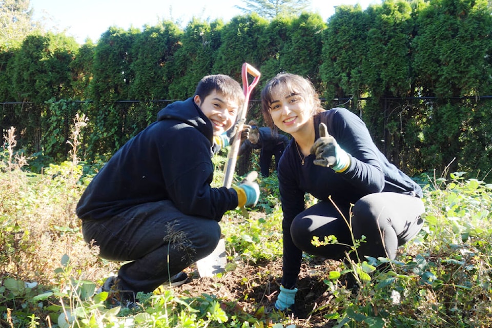web1_240216-mrn-cf-green-team_1