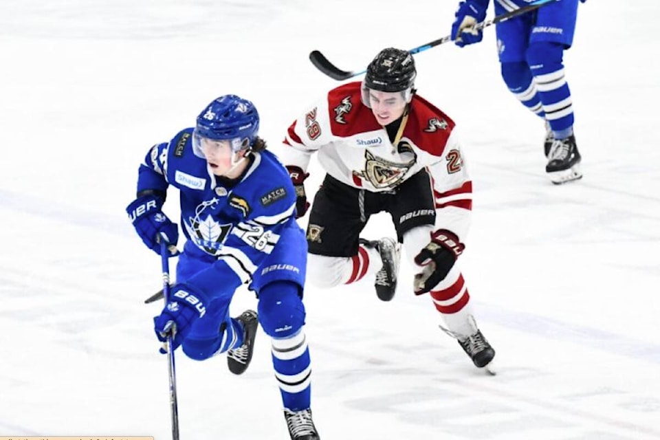 web1_240219-wek-warriors-silverbacks-vees-warriorsveesfeb17_1