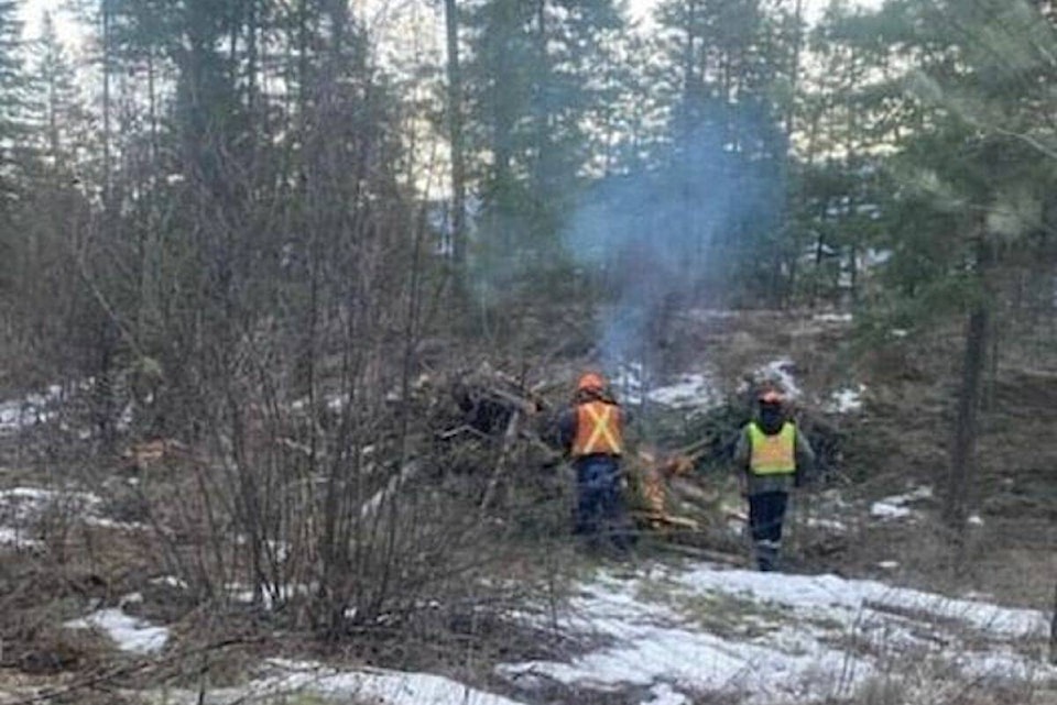 web1_240222-kcn-wildfiremitigation-vcxz_1