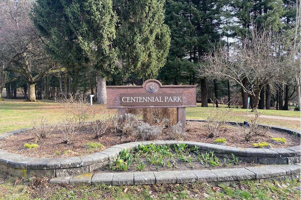 Plans for a new-look activity hub between Mission Leisure Centre and Centennial Park were presented to council on Feb. 21 by parks director Louis Dauphin. /Dillon White Photo 