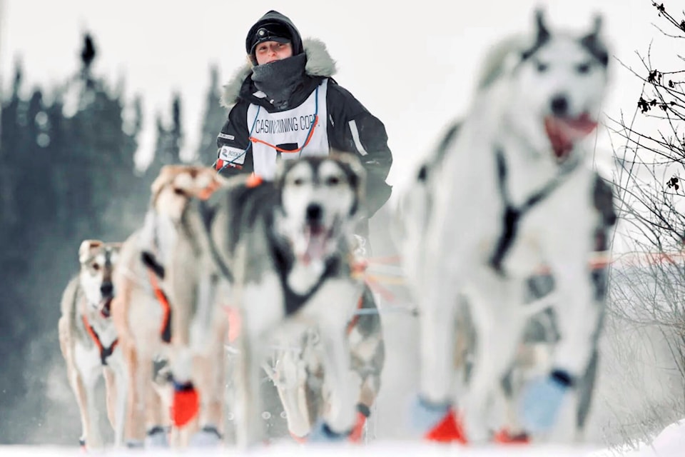 Experienced musher Mayla Hill and her dog team. This year will be Hill’s third time participating in the Yukon Quest. (Courtesy/Mayla Hill) 