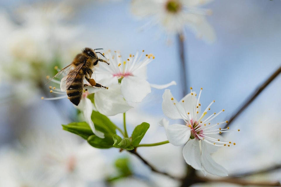 web1_patrick-brinksma-ylhc_hr-mqq-unsplash
