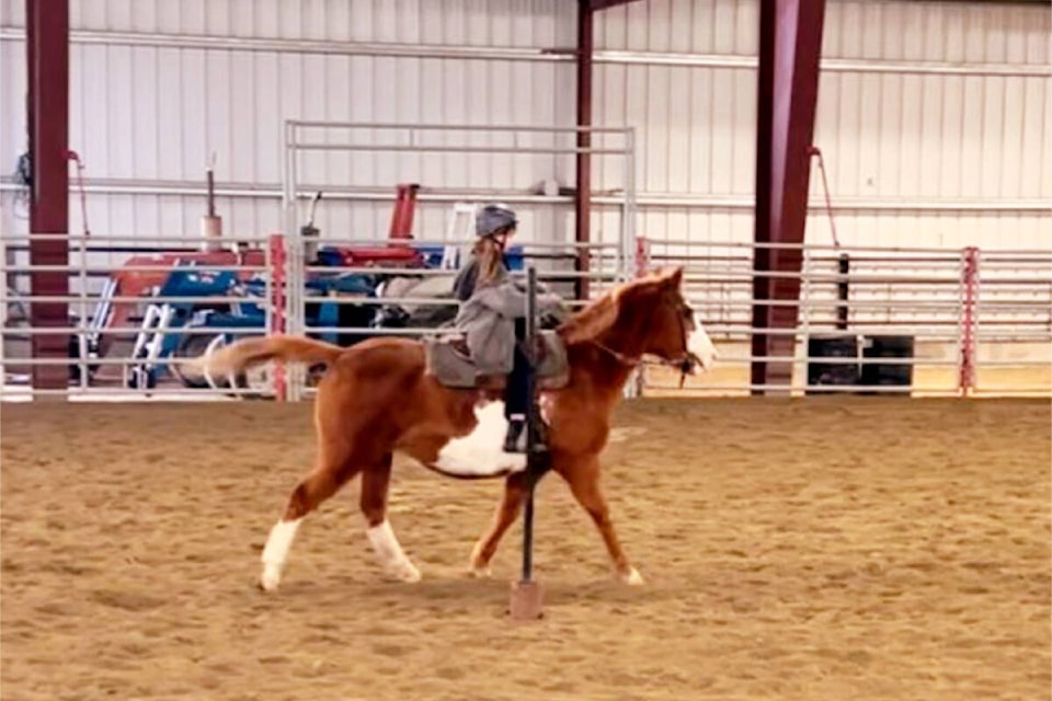 web1_rsz-nts-riding-club-fam-day-3-2927