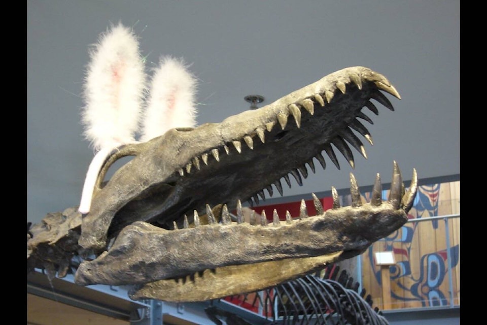 The Courtenay Museum’s Spring Fling and Easter Things event happens on Saturday, March 23 with all kinds of exciting activities for the entire family. File photo 