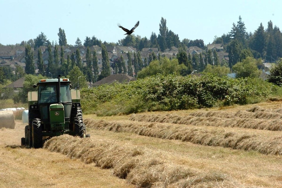 web1_200402-lat-agriculture-township-farm_1