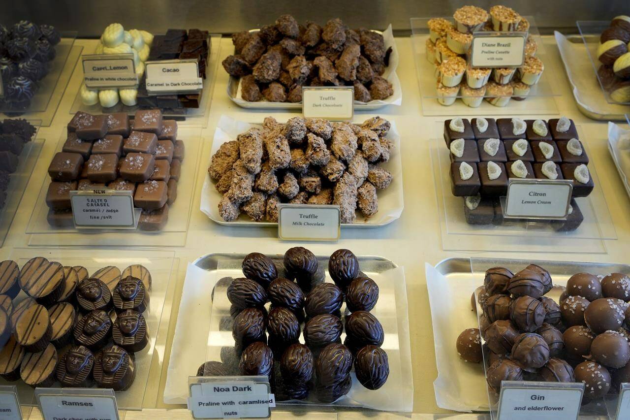 Cocoa prices spike, farmers struggle, Easter treat expected for Big Chocolate
