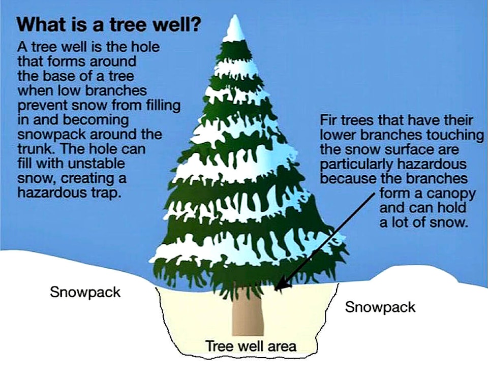 web1_210107-nts-treewell-bcadventuresmart_2