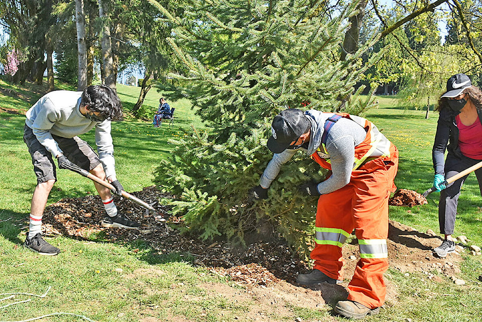 web1_210421-mrn-nc-treeplanting-pics_1