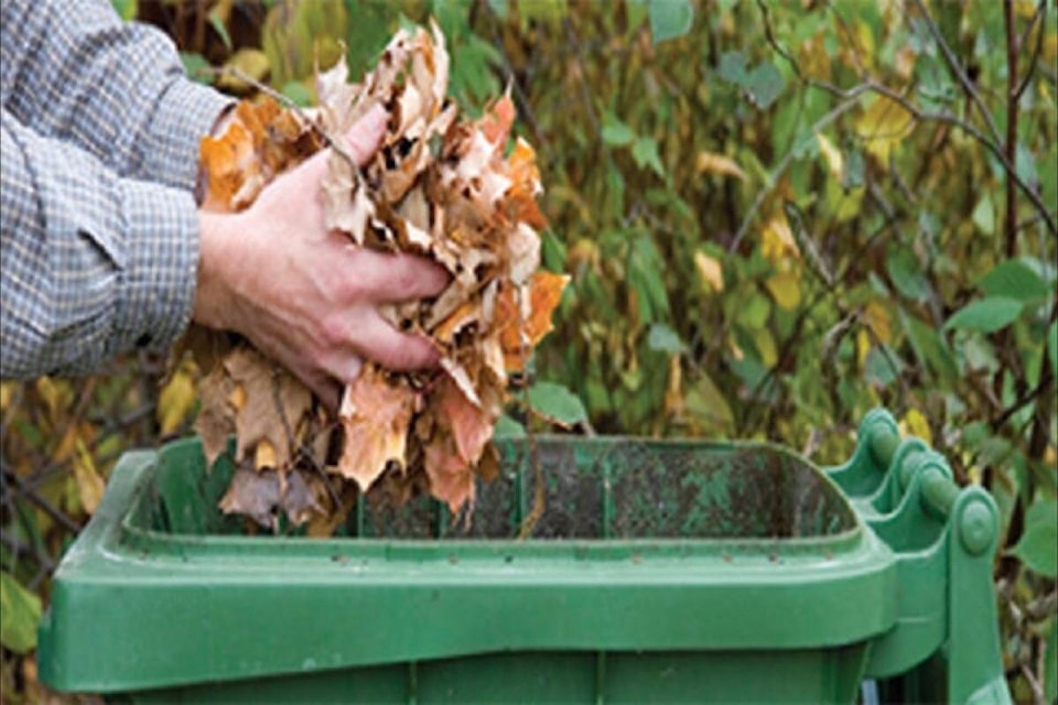 web1_220330-rda-green-cart-collection-red-deer-cart_1