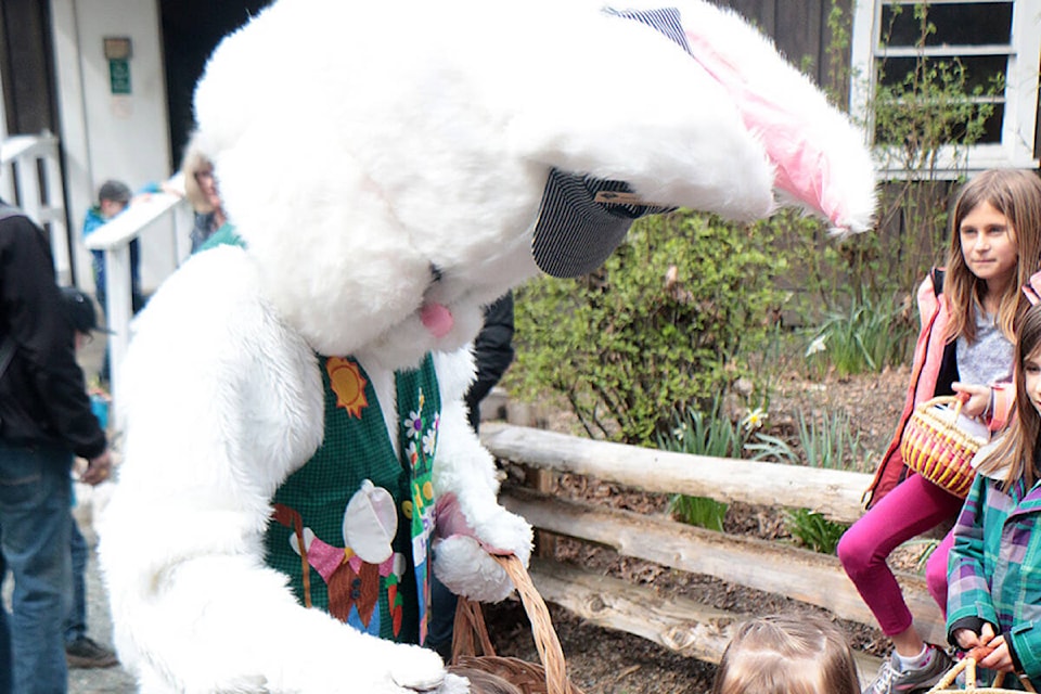 Kids and their families get up close and personal with the Easter Bunny last year at BC Forest Discovery Centre’s annual Easter Eggspress event. (Citizen file) 