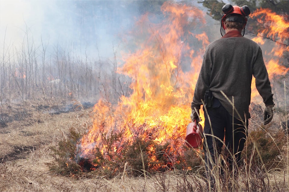 web1_230420-wlt-fox-mountain-prescribed-burn_1