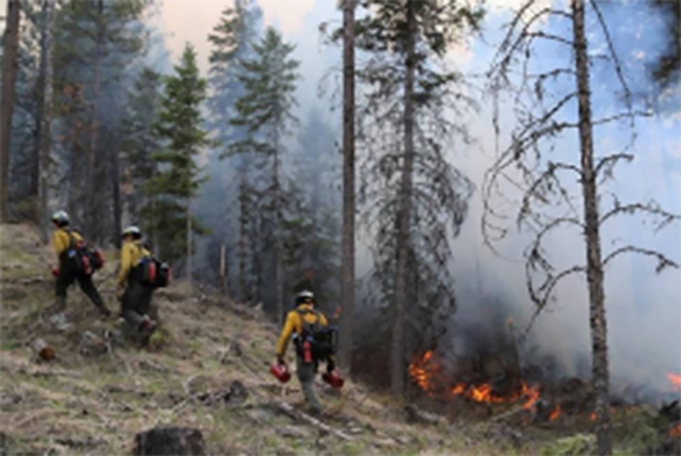 web1_230511-ovg-prescribed-burn-1-19