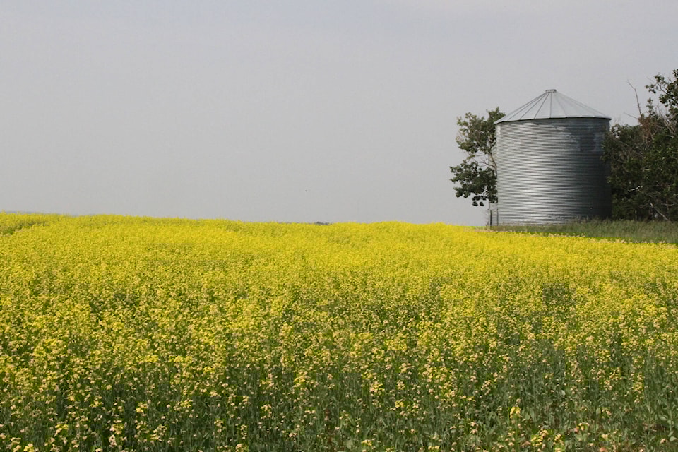 web1_230717-rda-crop-report-crops_1
