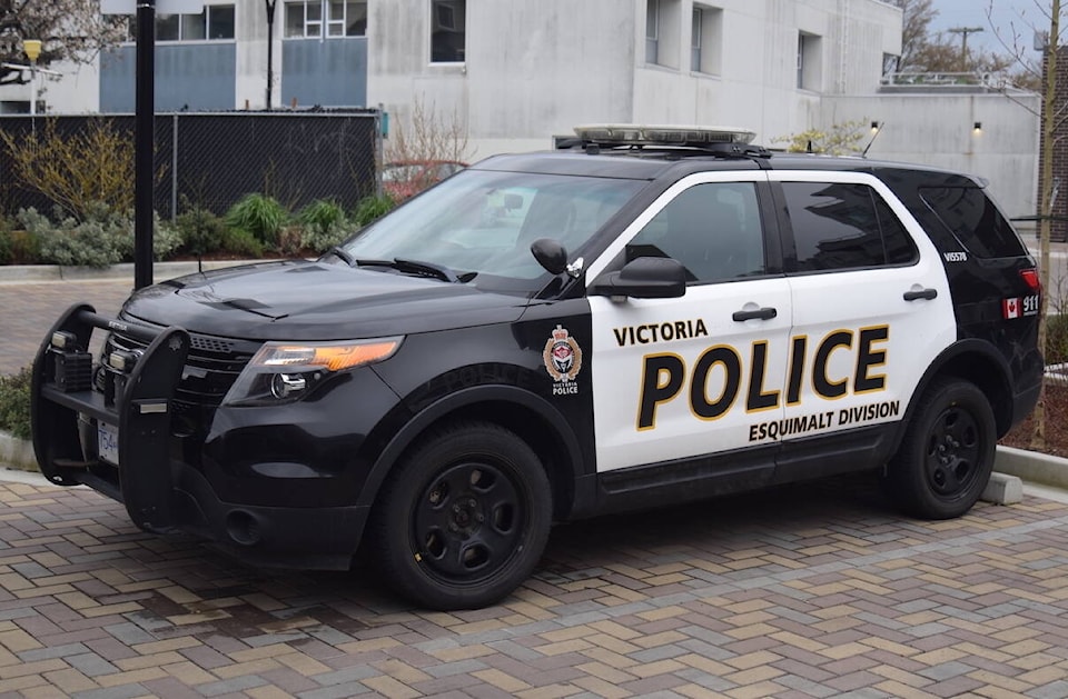 web1_230808-vne-communitysafetyplan-vicpd_1