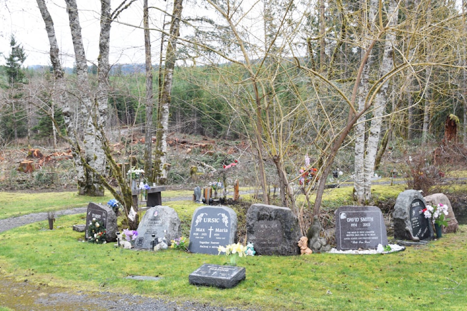 web1_240228-avn-cemetery-logging-alberni_2