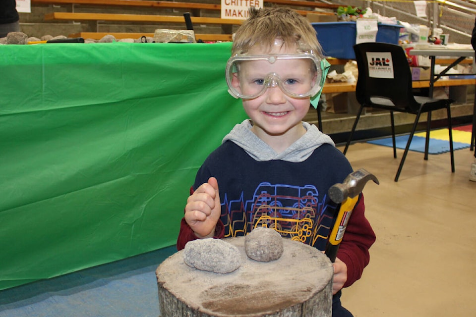 Owen Jorgensen, 5, prepares to crack open some concretions at the treasure rock station at The 2024 Port Alberni Rock and Gem Show at the Alberni Athletic Hall. (SONJA DRINKWATER PHOTO) 