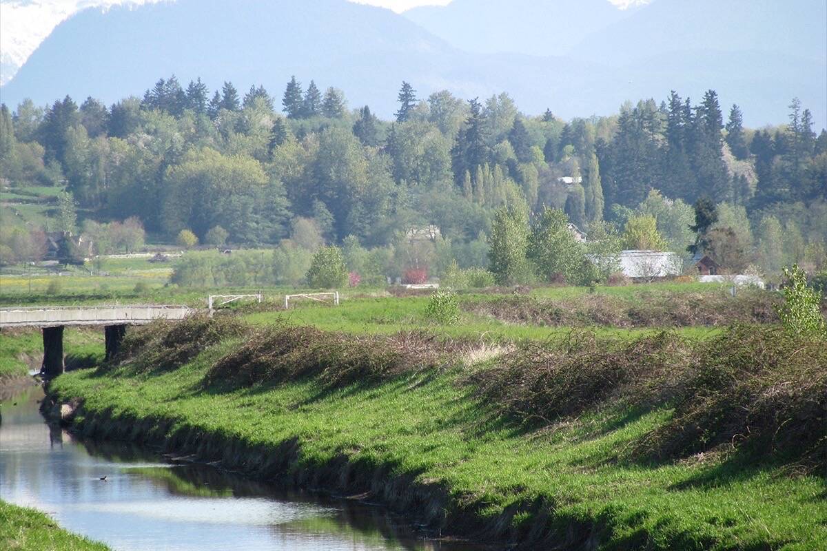 Dentist in Port Kells, BC
