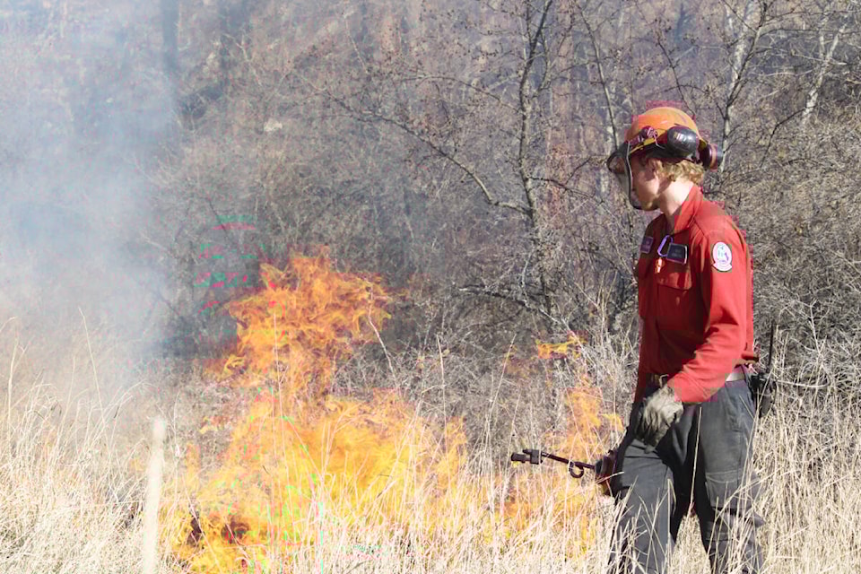 web1_240319-wlt-prescribed-burns-in-city_1