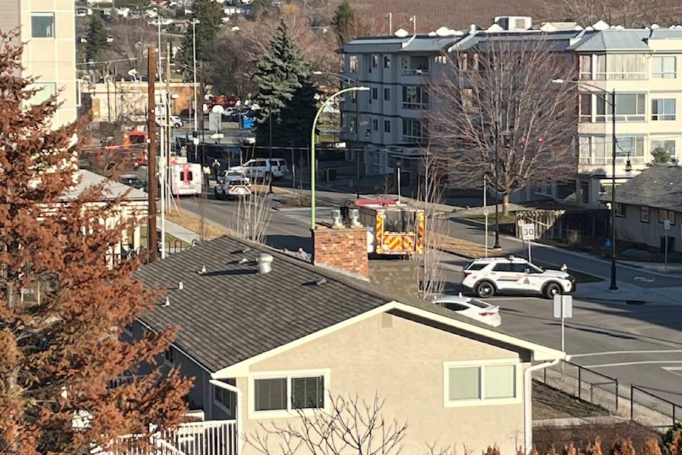 Kelowna RCMP are in the are of Centennial Park in Rutland. (Thomas Dutil) 