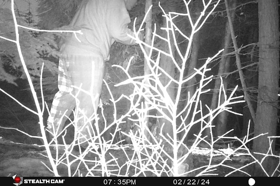 web1_240321-nse-dog-trap-update-trail-cam_1