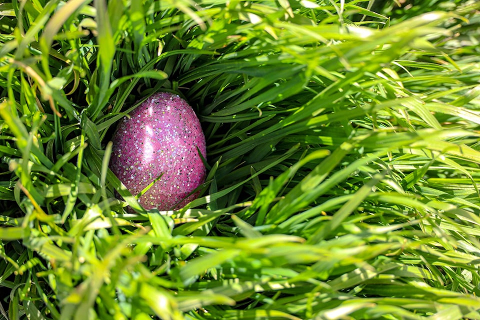 web1_240321-snm-easter-egg-hunt-photo_1