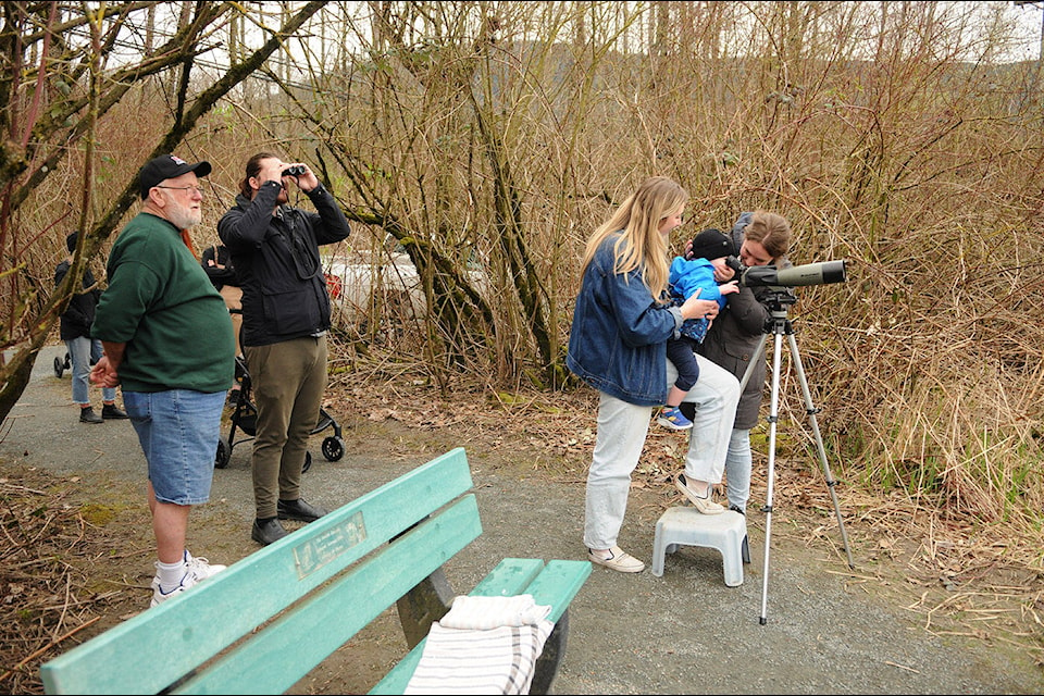 Volunteer Fred Mitchell (left) welcomes people to view heron colonies during the Family Nature Festival at the Great Blue Heron Nature Reserve on Friday, March 22, 2024. (Jenna Hauck/ Chilliwack Progress) 